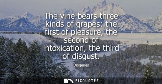 Small: The vine bears three kinds of grapes: the first of pleasure, the second of intoxication, the third of d