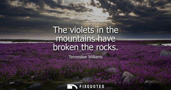 Small: The violets in the mountains have broken the rocks