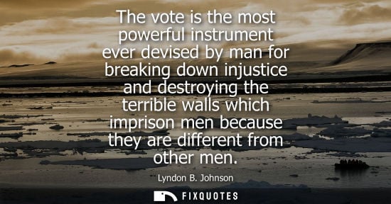 Small: The vote is the most powerful instrument ever devised by man for breaking down injustice and destroying