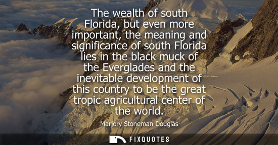 Small: The wealth of south Florida, but even more important, the meaning and significance of south Florida lie