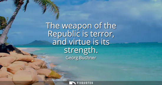 Small: The weapon of the Republic is terror, and virtue is its strength
