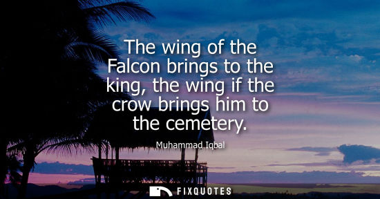 Small: The wing of the Falcon brings to the king, the wing if the crow brings him to the cemetery