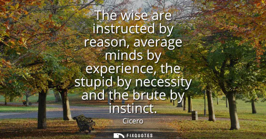 Small: The wise are instructed by reason, average minds by experience, the stupid by necessity and the brute by insti