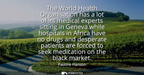 Small: The World Health Organisation has a lot of its medical experts sitting in Geneva while hospitals in Africa hav