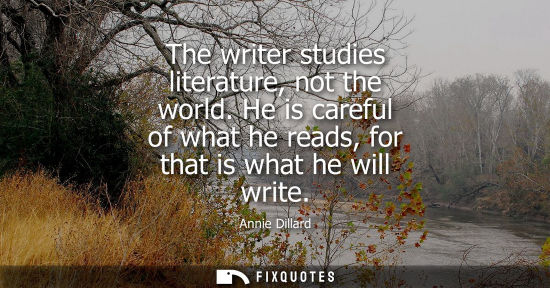 Small: The writer studies literature, not the world. He is careful of what he reads, for that is what he will 