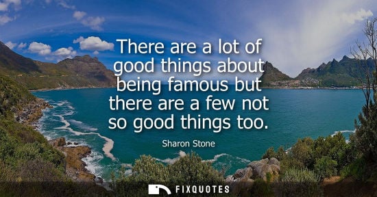 Small: There are a lot of good things about being famous but there are a few not so good things too - Sharon Stone