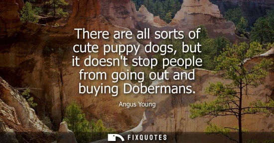 Small: There are all sorts of cute puppy dogs, but it doesnt stop people from going out and buying Dobermans - Angus 