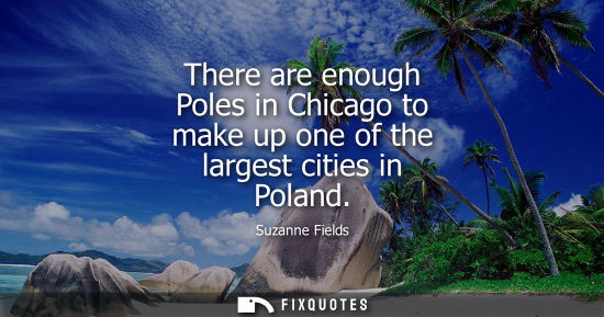 Small: There are enough Poles in Chicago to make up one of the largest cities in Poland