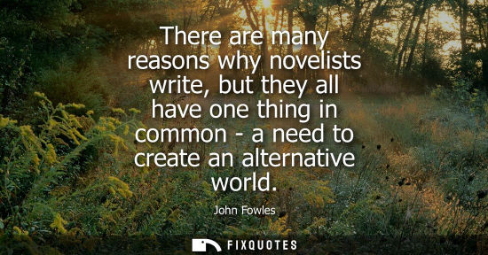 Small: There are many reasons why novelists write, but they all have one thing in common - a need to create an