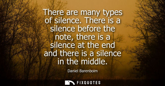Small: There are many types of silence. There is a silence before the note, there is a silence at the end and 