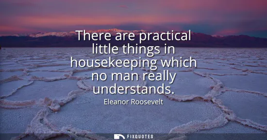 Small: There are practical little things in housekeeping which no man really understands