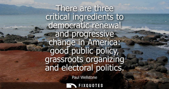 Small: There are three critical ingredients to democratic renewal and progressive change in America: good public poli