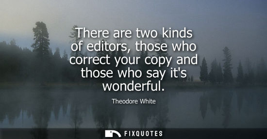 Small: There are two kinds of editors, those who correct your copy and those who say its wonderful