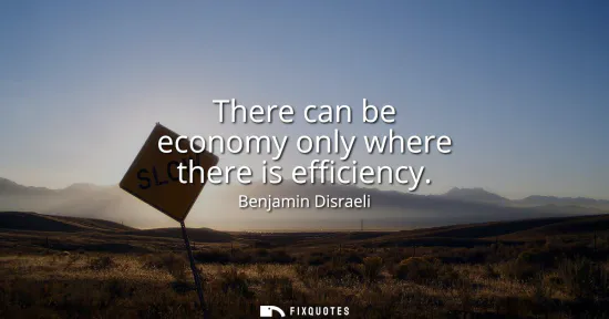 Small: There can be economy only where there is efficiency