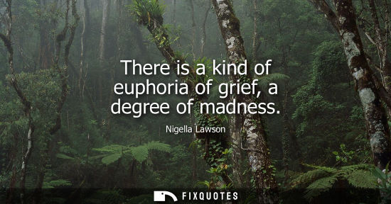 Small: There is a kind of euphoria of grief, a degree of madness