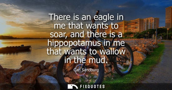 Small: There is an eagle in me that wants to soar, and there is a hippopotamus in me that wants to wallow in t