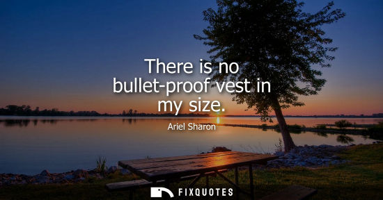 Small: There is no bullet-proof vest in my size
