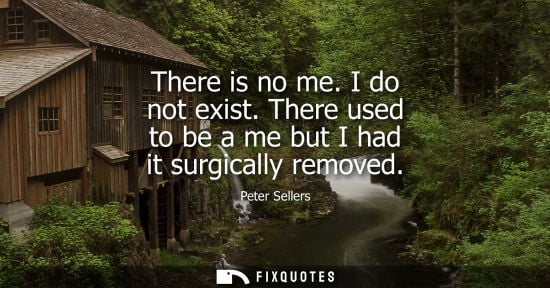 Small: There is no me. I do not exist. There used to be a me but I had it surgically removed