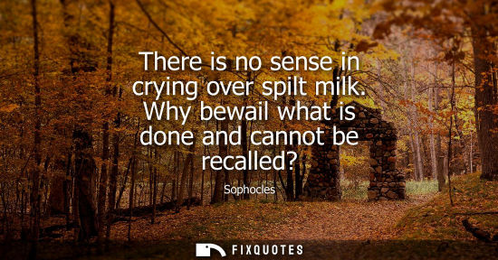 Small: There is no sense in crying over spilt milk. Why bewail what is done and cannot be recalled? - Sophocles