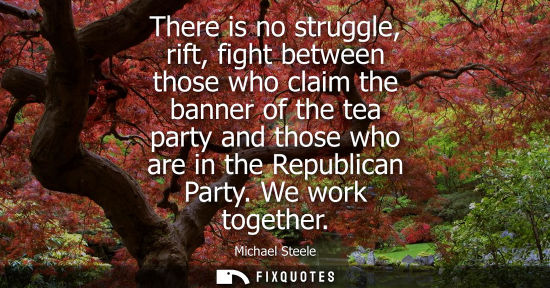 Small: There is no struggle, rift, fight between those who claim the banner of the tea party and those who are