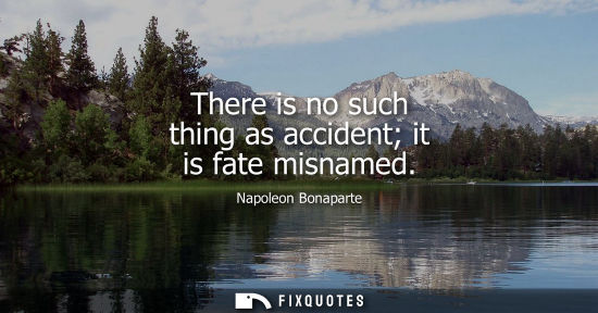 Small: There is no such thing as accident it is fate misnamed - Napoleon Bonaparte