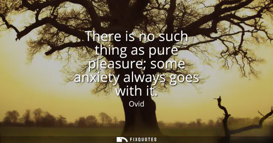 Small: There is no such thing as pure pleasure some anxiety always goes with it
