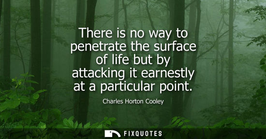 Small: There is no way to penetrate the surface of life but by attacking it earnestly at a particular point