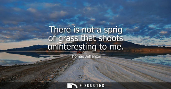 Small: There is not a sprig of grass that shoots uninteresting to me
