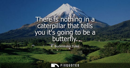 Small: There is nothing in a caterpillar that tells you its going to be a butterfly