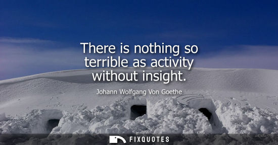 Small: There is nothing so terrible as activity without insight - Johann Wolfgang Von Goethe