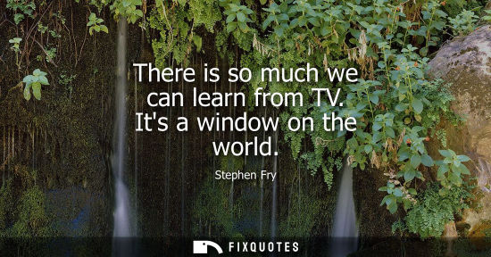 Small: There is so much we can learn from TV. Its a window on the world