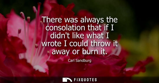 Small: There was always the consolation that if I didnt like what I wrote I could throw it away or burn it