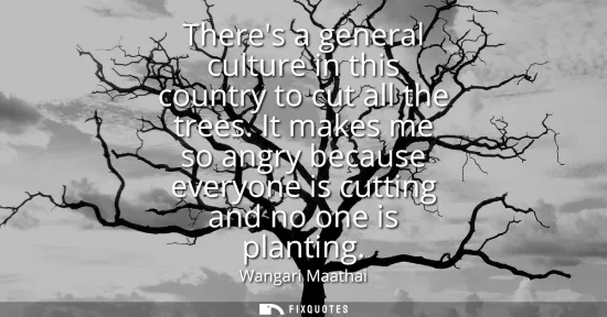 Small: Theres a general culture in this country to cut all the trees. It makes me so angry because everyone is cuttin