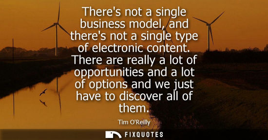 Small: Theres not a single business model, and theres not a single type of electronic content. There are reall