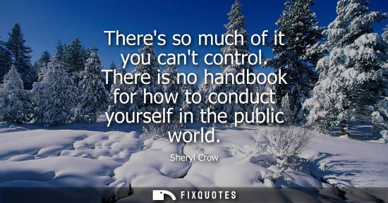 Small: Theres so much of it you cant control. There is no handbook for how to conduct yourself in the public w