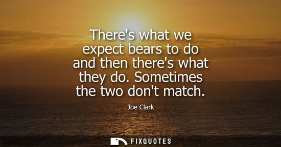 Small: Theres what we expect bears to do and then theres what they do. Sometimes the two dont match