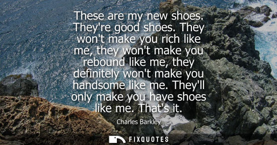 Small: These are my new shoes. Theyre good shoes. They wont make you rich like me, they wont make you rebound 