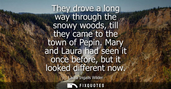 Small: They drove a long way through the snowy woods, till they came to the town of Pepin. Mary and Laura had 
