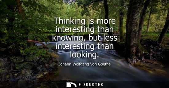 Small: Thinking is more interesting than knowing, but less interesting than looking