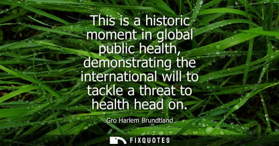 Small: This is a historic moment in global public health, demonstrating the international will to tackle a thr