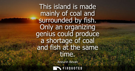 Small: This island is made mainly of coal and surrounded by fish. Only an organizing genius could produce a sh