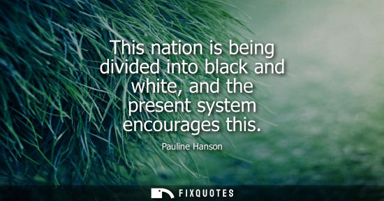 Small: Pauline Hanson: This nation is being divided into black and white, and the present system encourages this