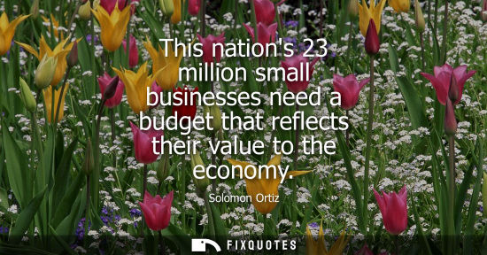 Small: This nations 23 million small businesses need a budget that reflects their value to the economy