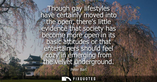 Small: Though gay lifestyles have certainly moved into the open, theres little evidence that society has becom