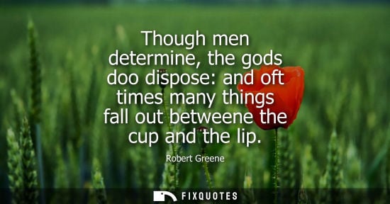 Small: Though men determine, the gods doo dispose: and oft times many things fall out betweene the cup and the