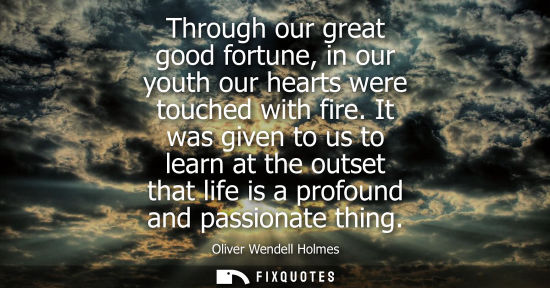 Small: Through our great good fortune, in our youth our hearts were touched with fire. It was given to us to learn at