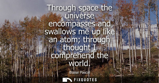 Small: Through space the universe encompasses and swallows me up like an atom through thought I comprehend the world 