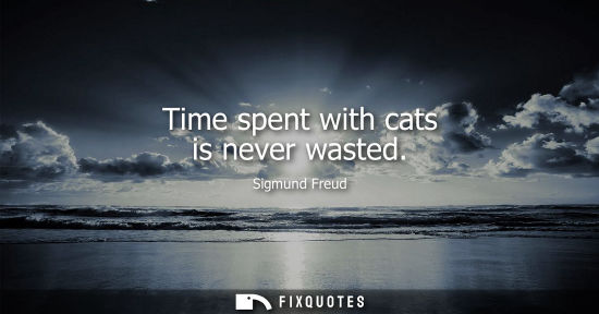 Small: Time spent with cats is never wasted
