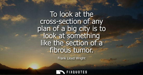 Small: To look at the cross-section of any plan of a big city is to look at something like the section of a fibrous t