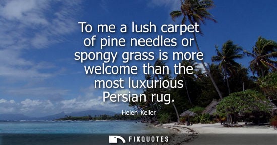 Small: To me a lush carpet of pine needles or spongy grass is more welcome than the most luxurious Persian rug